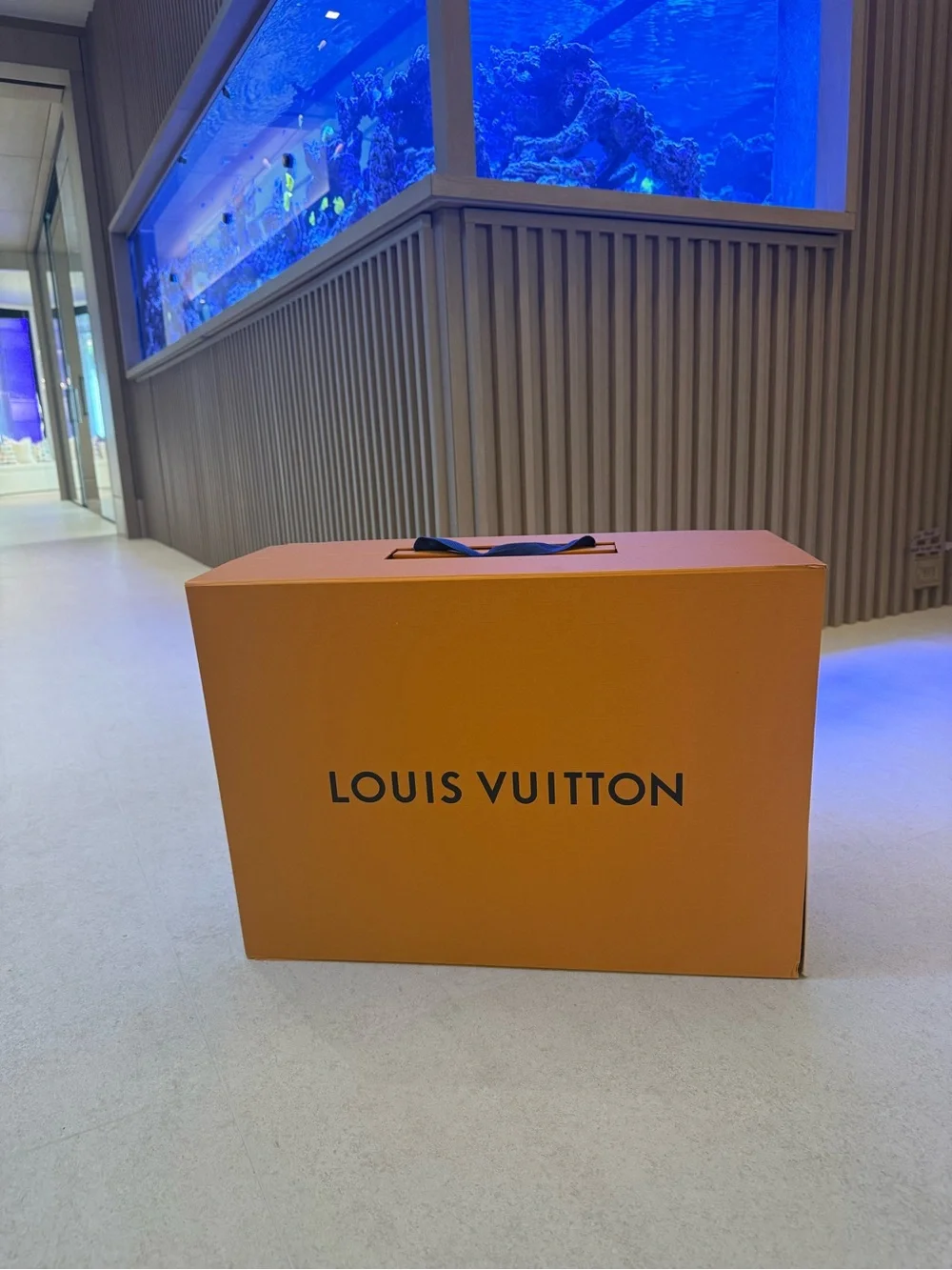 Louis Vuitton Orange Gift Box with Handle 23x17x10